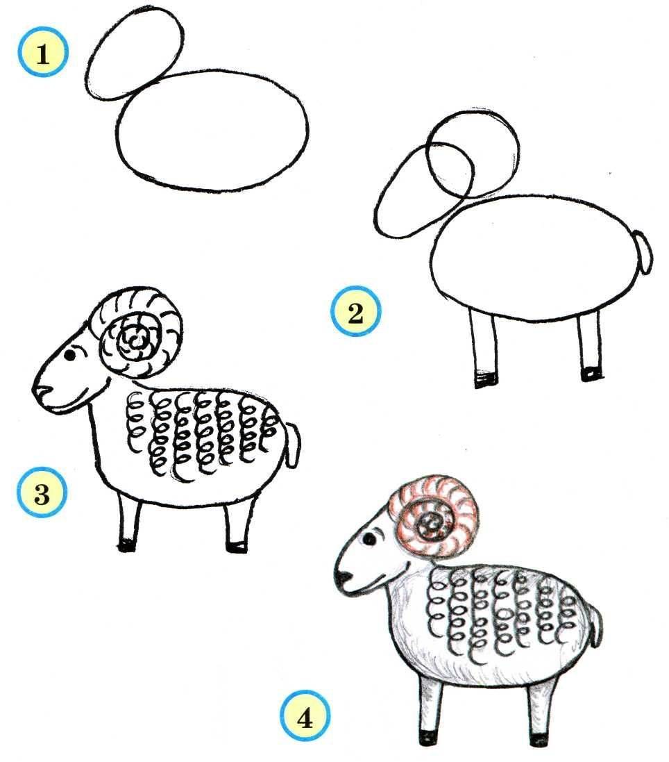 Учимся легко рисовать животных. рисуем животных поэтапно карандашом. как научиться рисовать животных поэтапно?