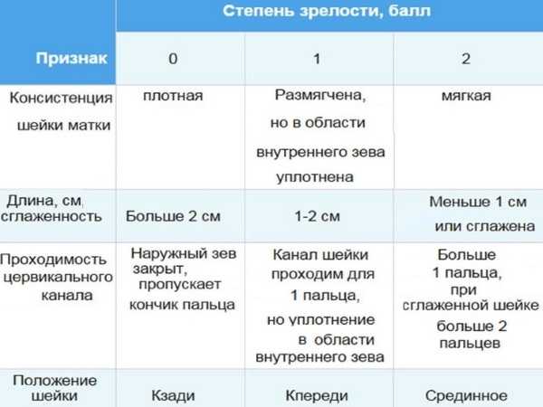 Шейка матки во время беременности: какие могут быть изменения - статья репродуктивного центра «за рождение»