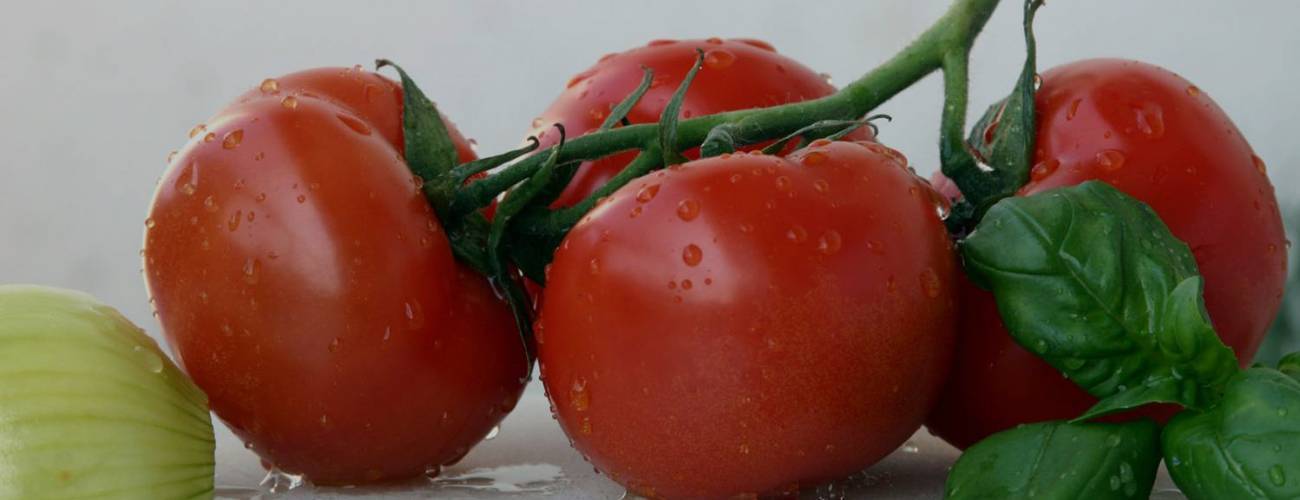 Можно ли есть помидоры свежие, соленые, тушеные) кормящей маме
