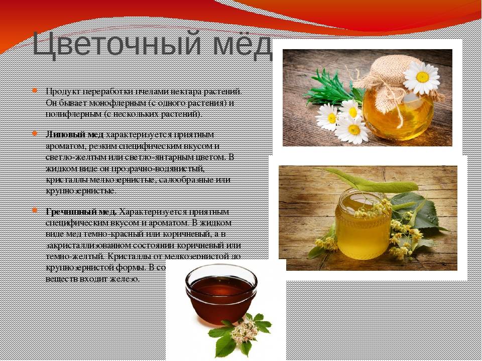С какого возраста можно давать мёд детям: рекомендации педиатров