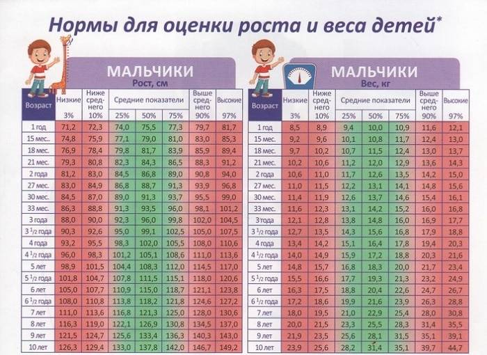 Рост мальчика по годам: таблица соотношения длины и массы тела от рождения до 18 лет