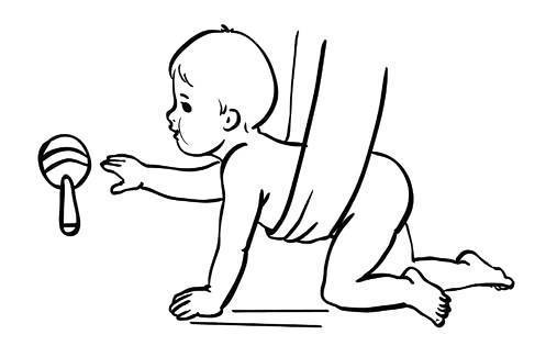 Когда ребенок начинает ползать: как научить грудничка в 4, 5, 6, 7, 8, 9 месяцев передвигаться на четвереньках и по-пластунски, а также комплекс упражнений