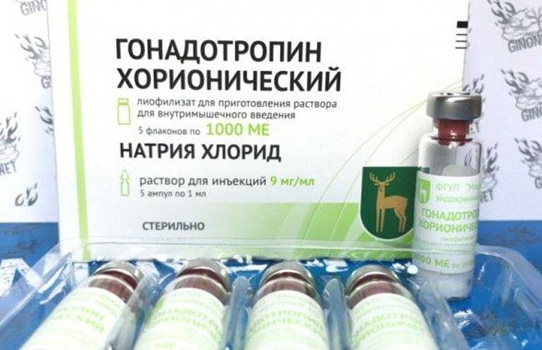 Половые гормоны: норма и отклонения у мужчин