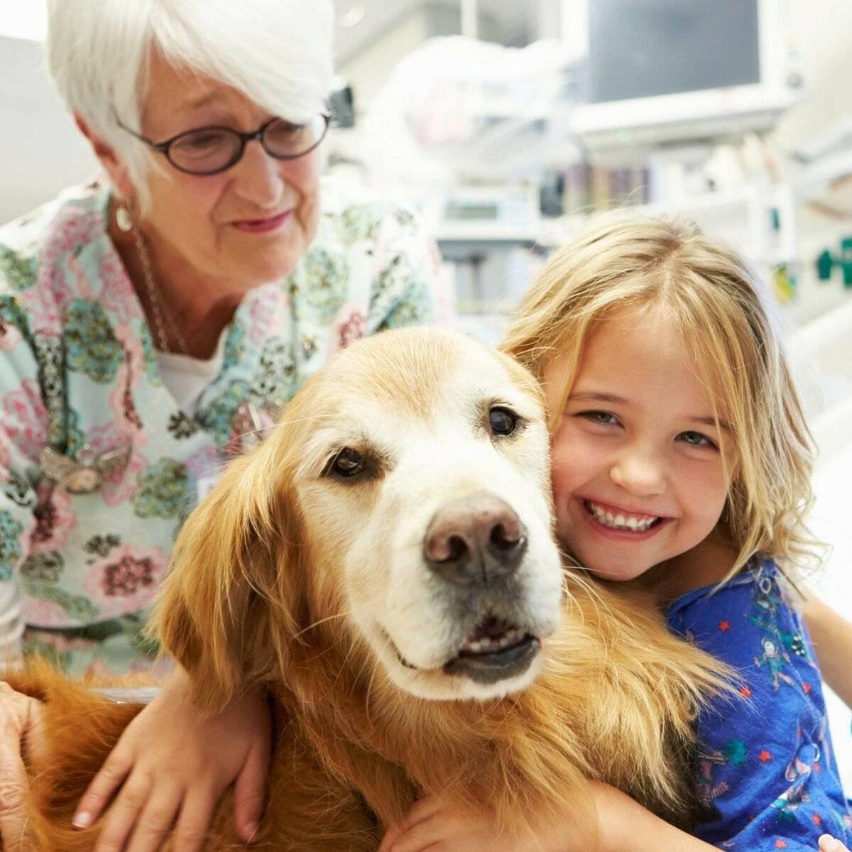 6 преимуществ домашних животных для детей :: инфониак