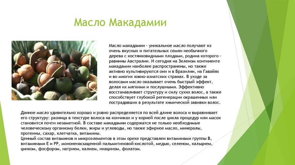 Орех макадамия: полезные свойства и противопоказания