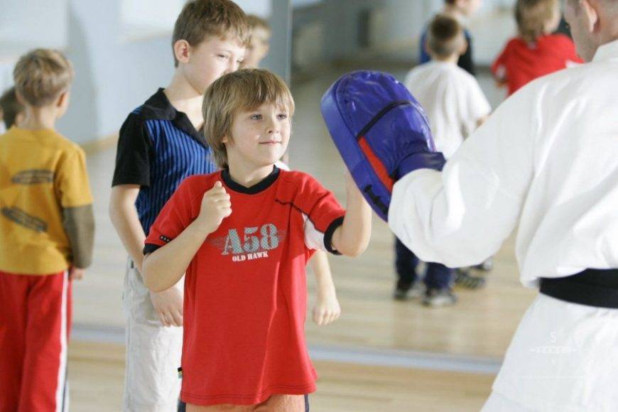 В какую спортивную секцию в зале отдать мальчика 4-7 лет?
