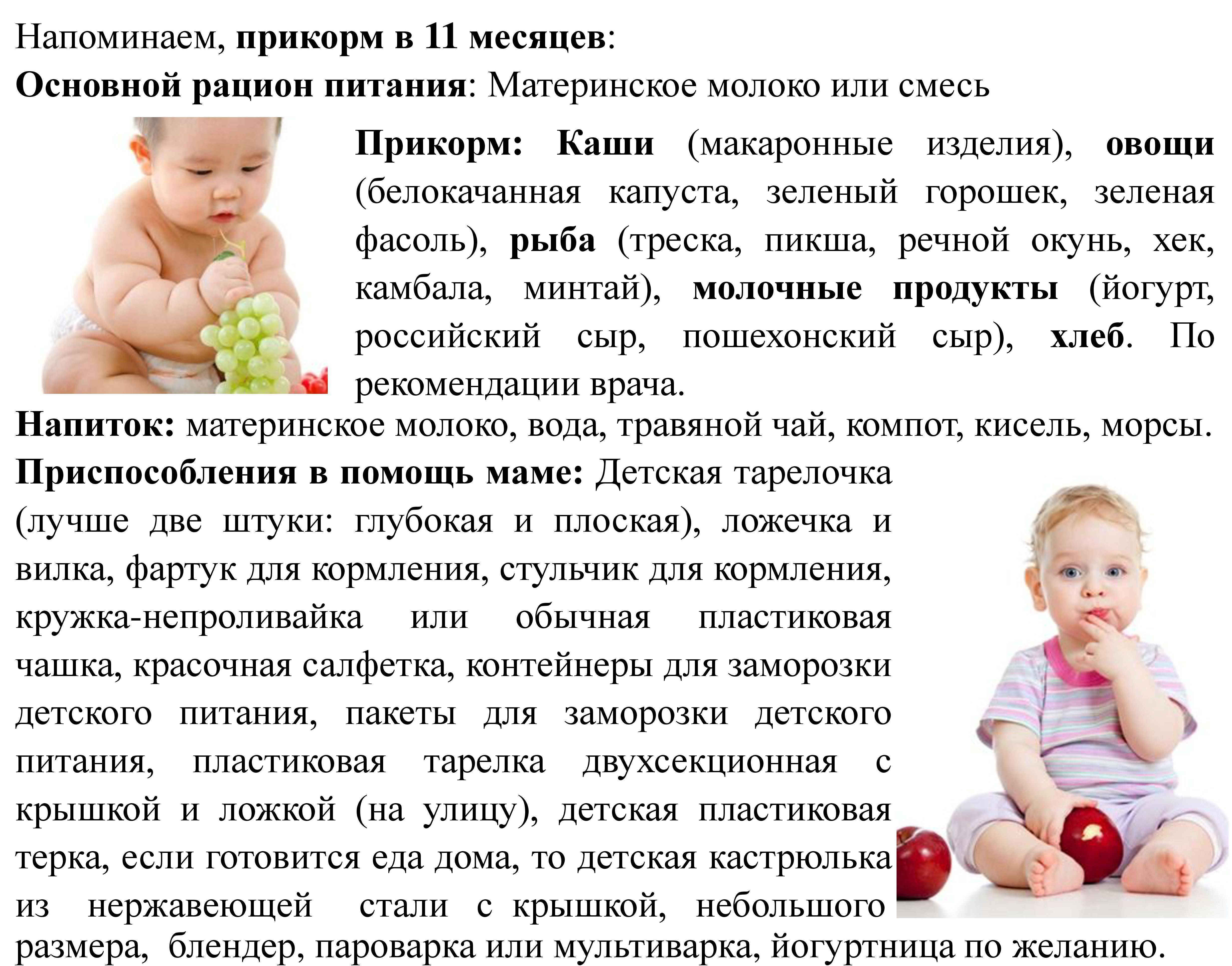 Физиологическое развитие малыша в 11 месяцев 2024
