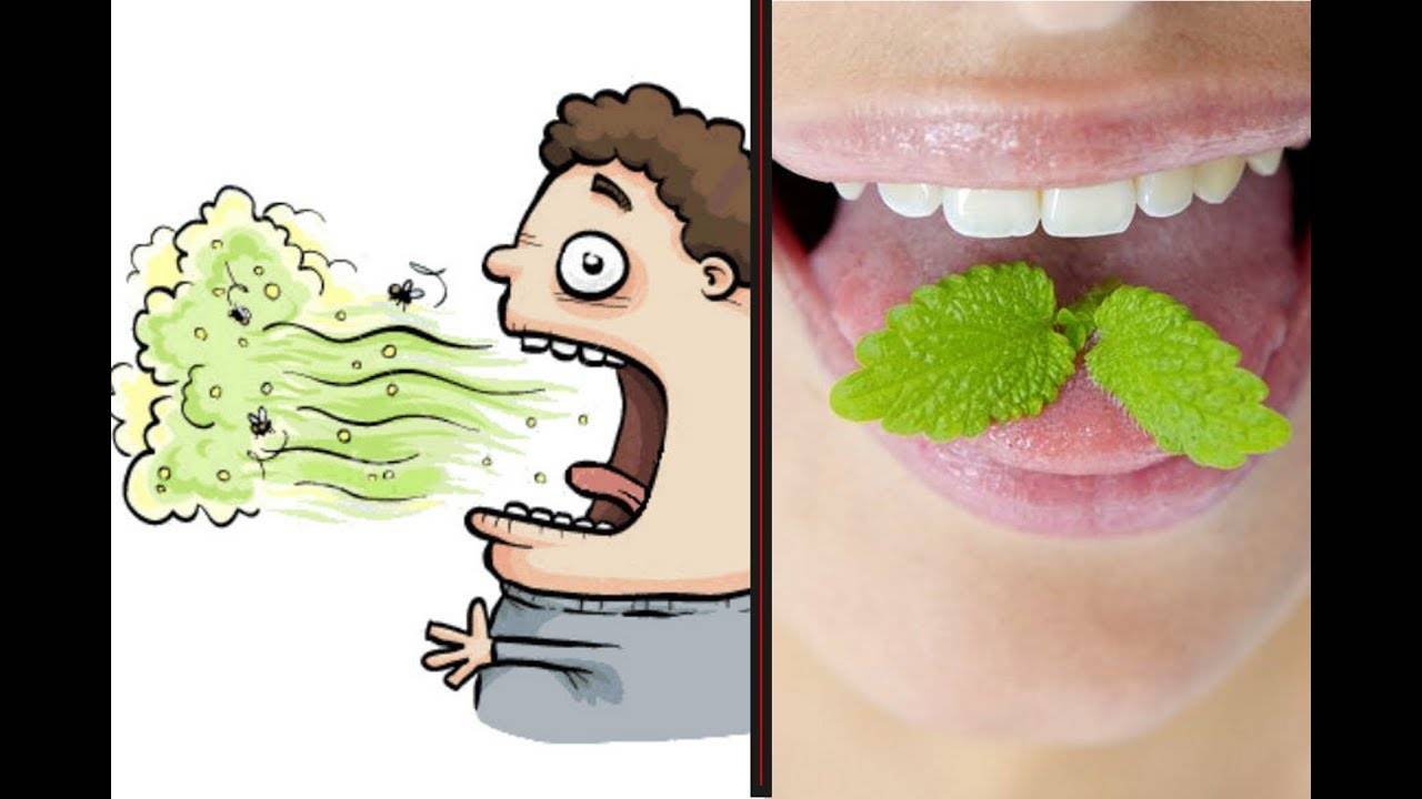 Запах аммиака изо рта у взрослых: причины, лечение, профилактика