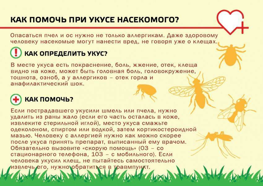 Укус пчелы карта вызова