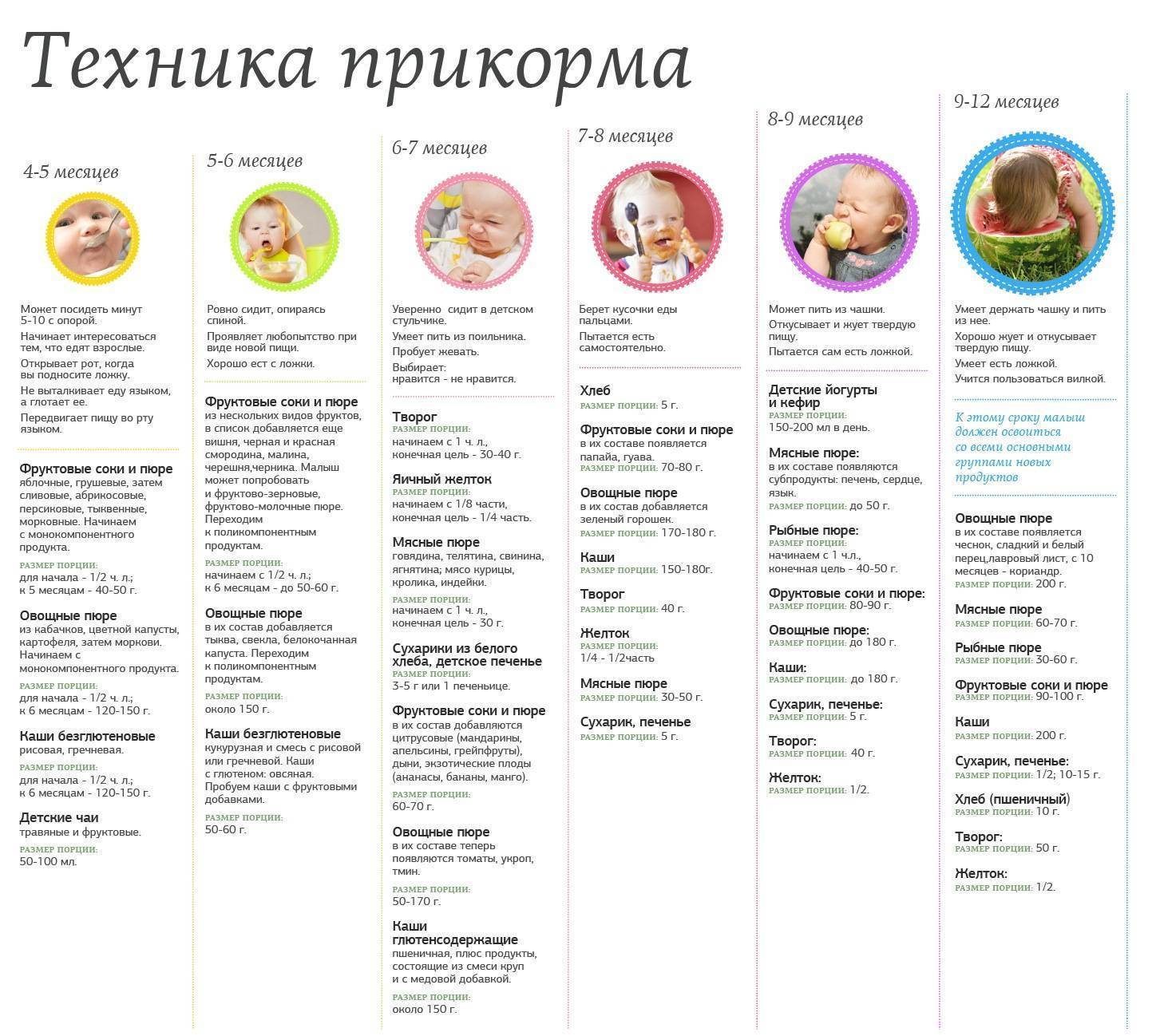 Норма питания для грудничков по месяцам: меню до года, подробная таблица
