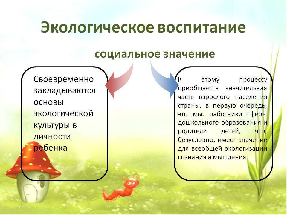 Экологическое воспитание школьников презентация