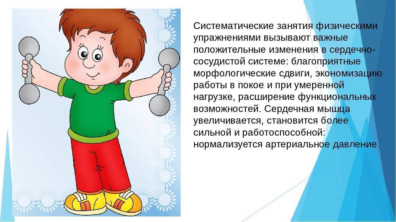 В какую спортивную секцию отдать ребенка 5-7 лет — выбираем вид спорта для мальчиков и девочек