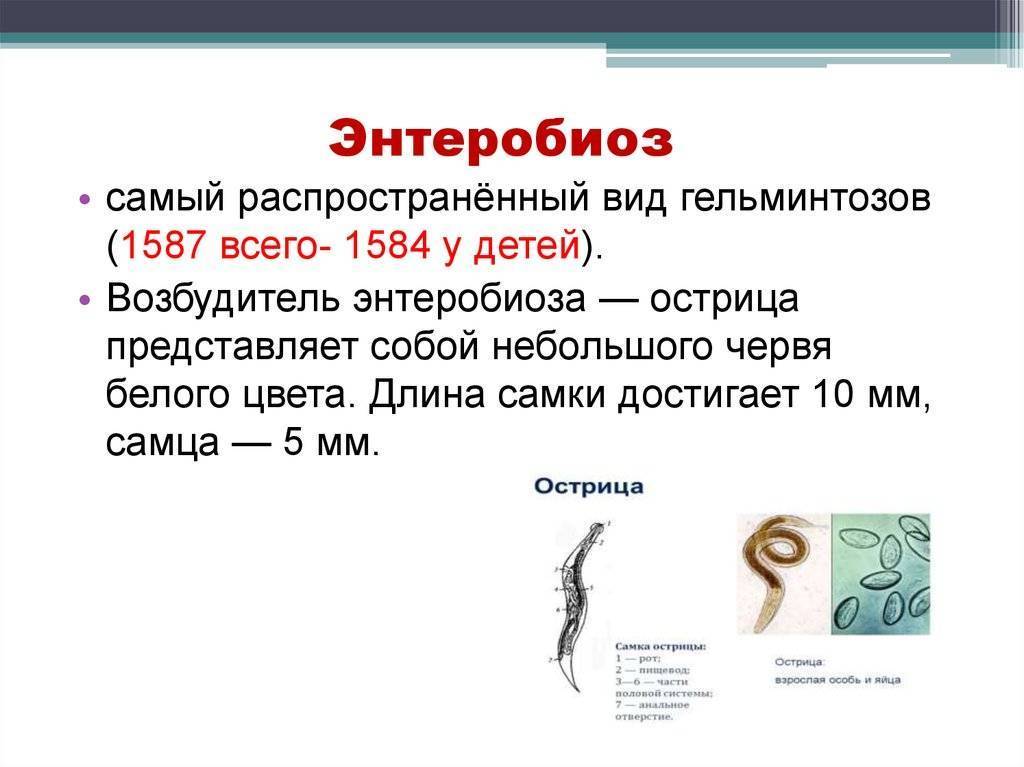 Гельминты у детей презентация