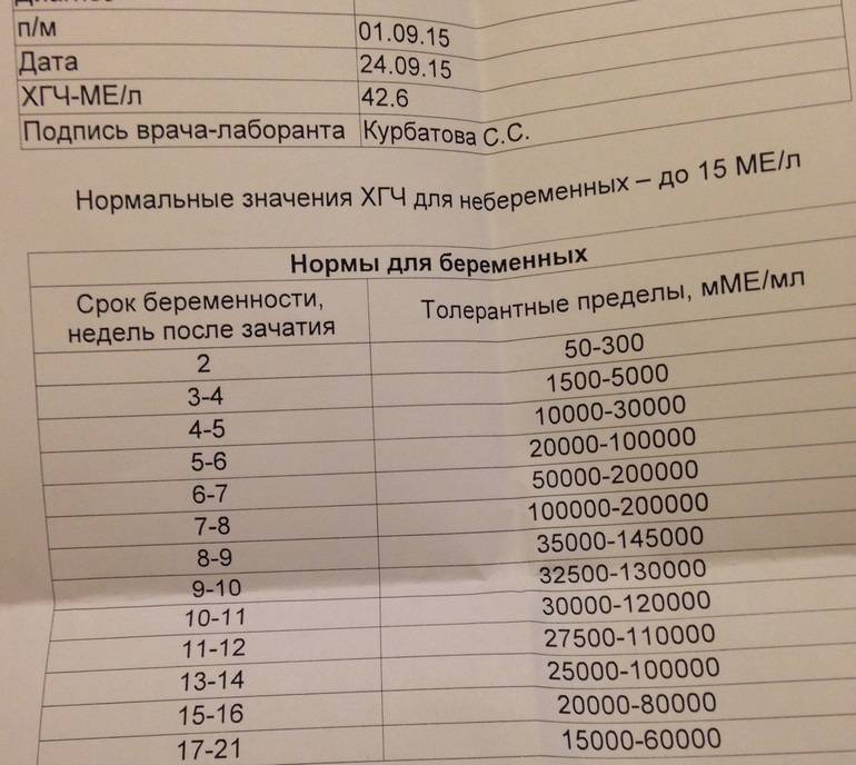 Хгч — гормон беременности