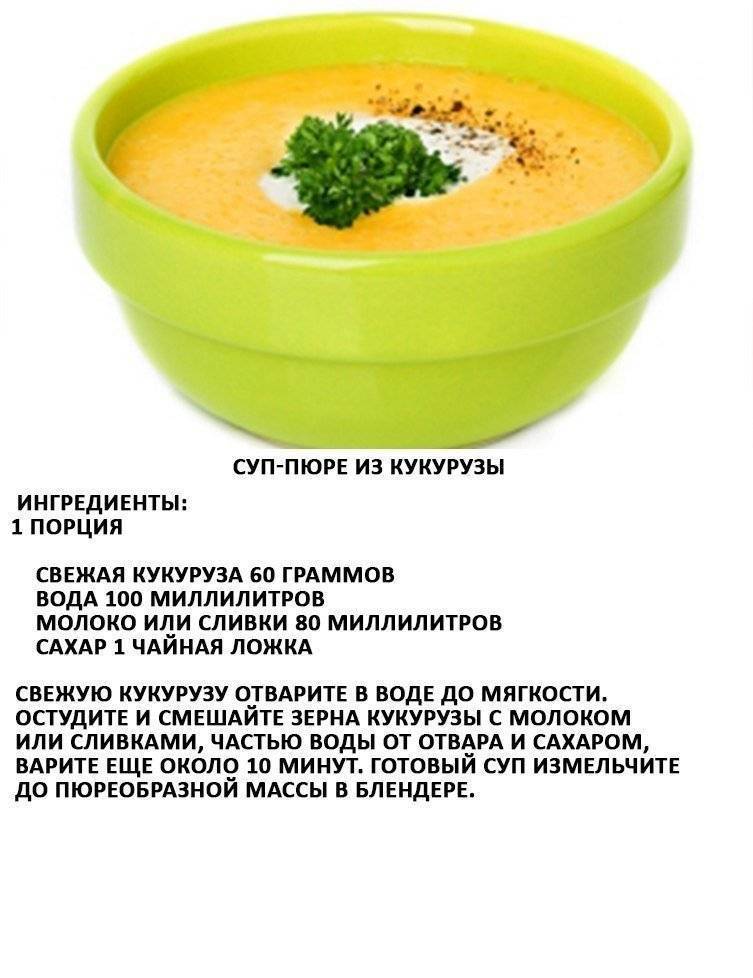 Суп для ребенка после года, как в детском саду: лучшие рецепты детских супов. какие супы готовить детям в 1.5, 2, 3 года и старше?