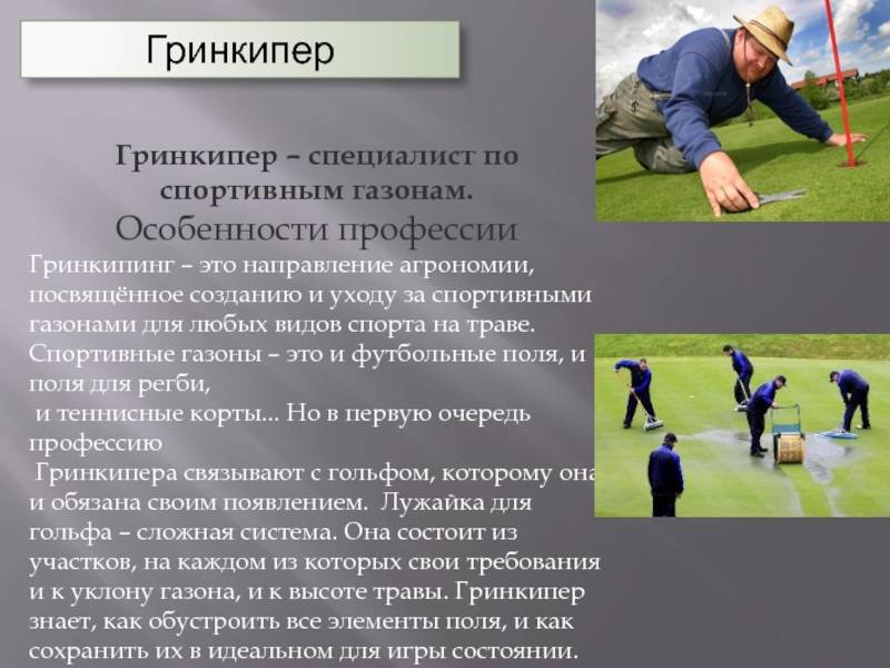 Профессии, связанные со спортом - список