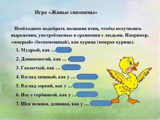 Викторина о птицах для начальной школы с ответами