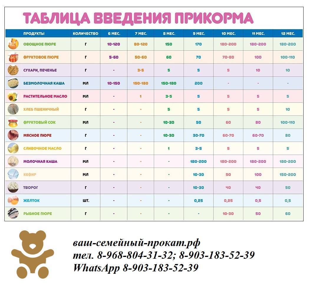 Таблица ввода прикорма по месяцам: рекомендации воз + список продуктов прикорма