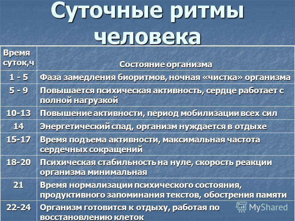 Суточные биоритмы человека: влияние на работу мозга и эмоций