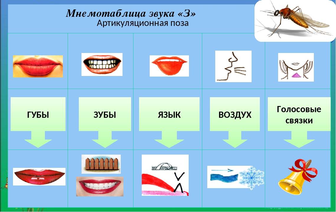 Как научить ребенка правильно произносить звуки [в] [к] [п] и [л]