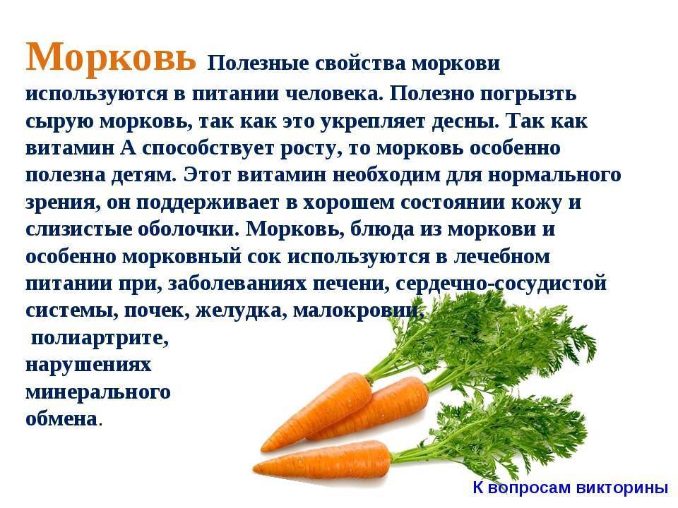 Морковный салат пищевая ценность