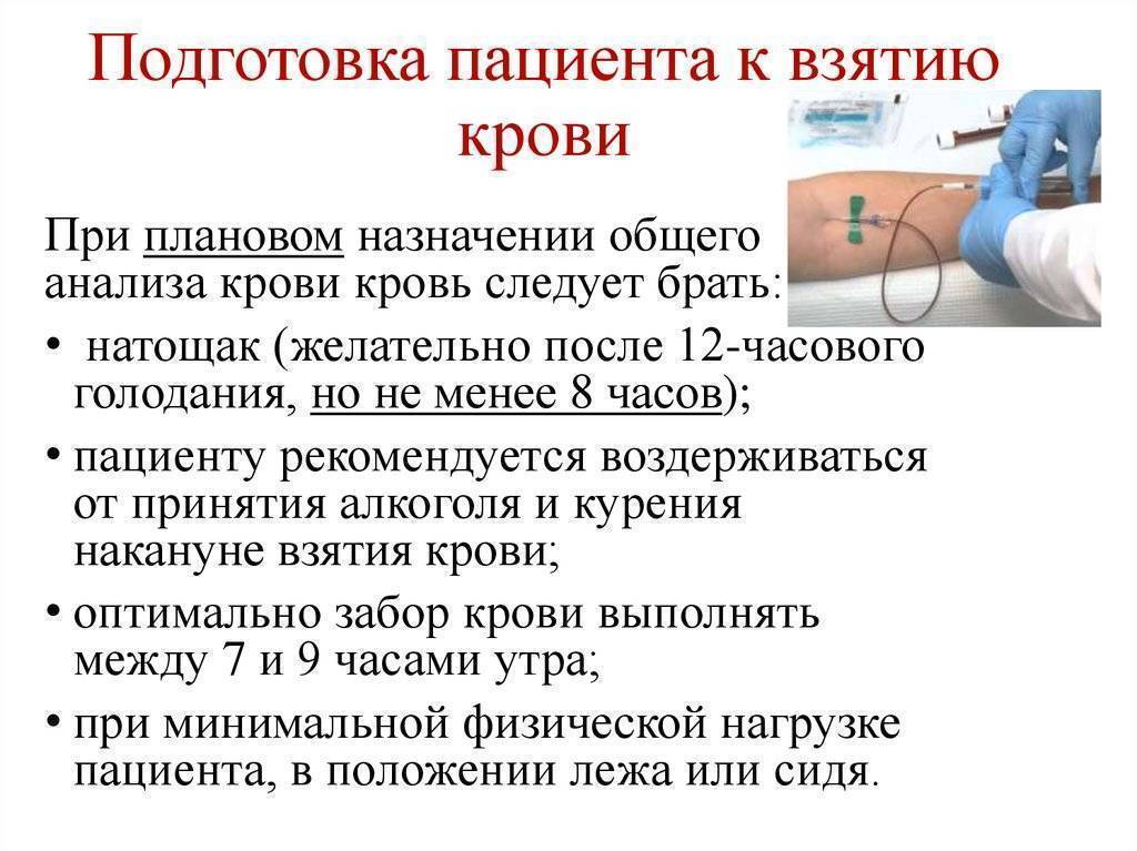 Как правильно сдавать кровь из пальца: основные правила подготовки к общему анализу крови из пальца