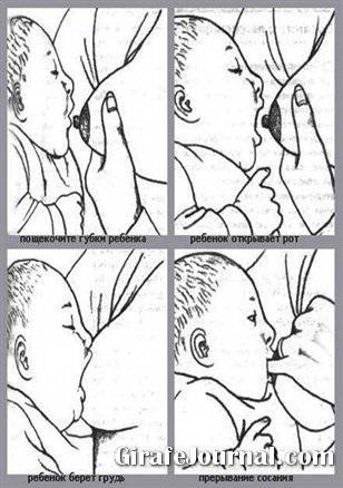 Ребенок кусает грудь во время кормления: что делать, отзывы