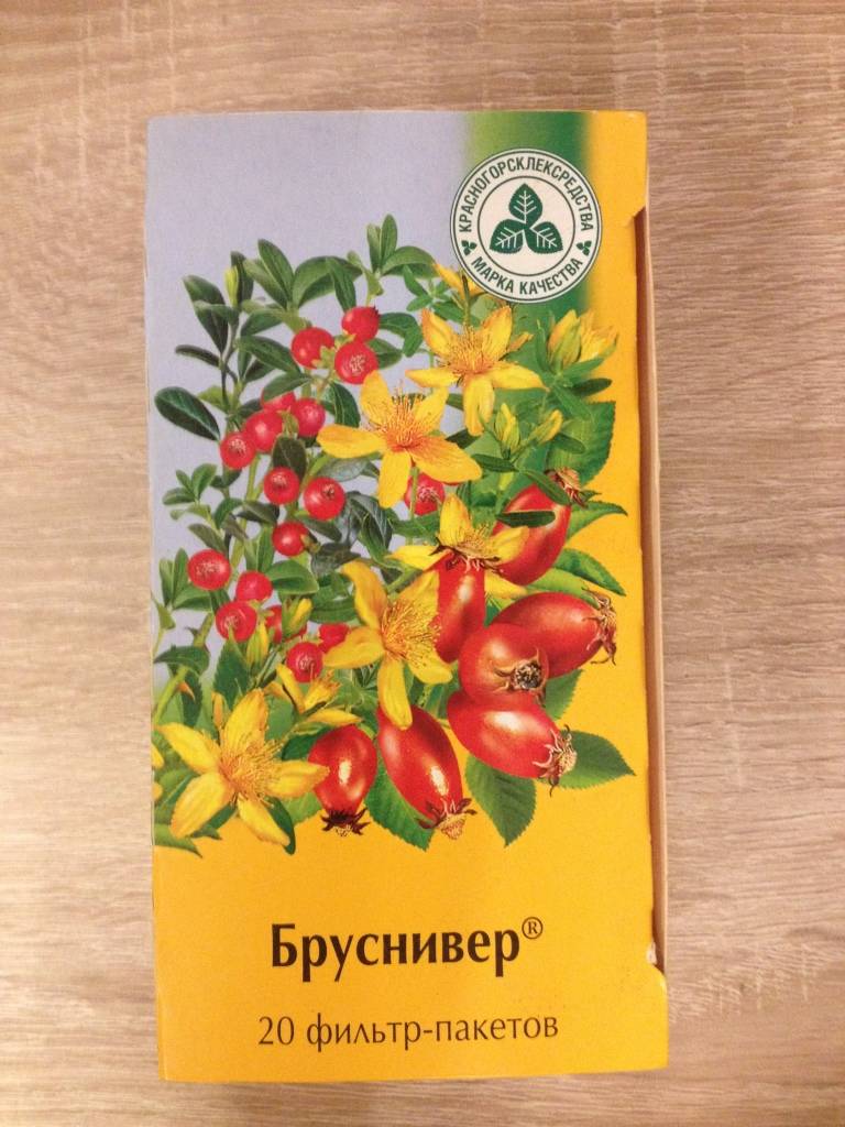 Бруснивер при беременности: так ли он безопасен? - spuzom.com
