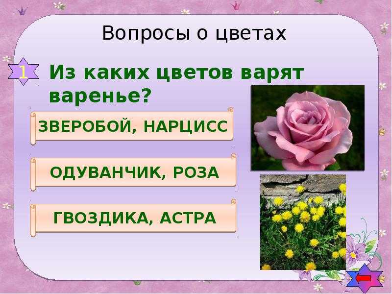 Викторина про растения для младших школьников, с ответами - мама и я - семейный журнал