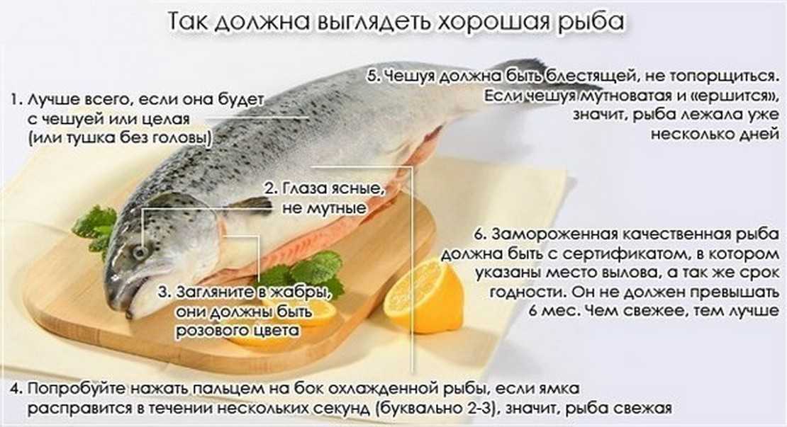 Какую рыбу использовать для прикорма и когда можно добавлять ее в рацион малыша