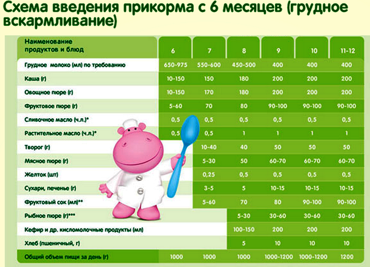 Первый прикорм ребенка при искусственном вскармливании: таблица и схема введения по месяцам