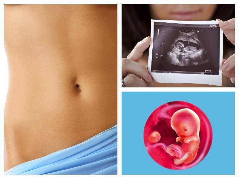 13 неделя беременности: ощущения, признаки, развитие плода