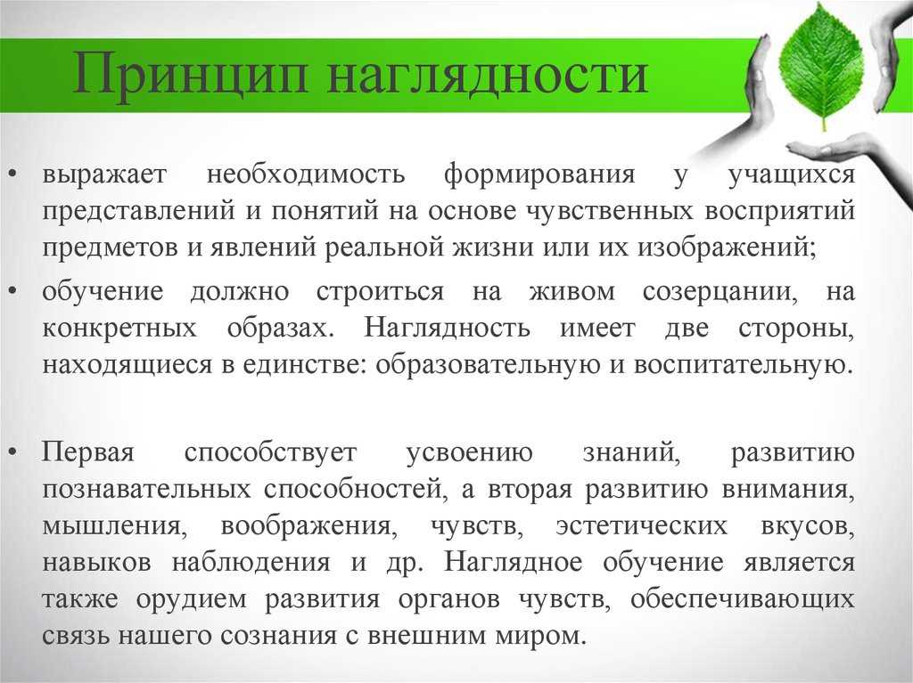 Что такое дидактика и как она развивается
